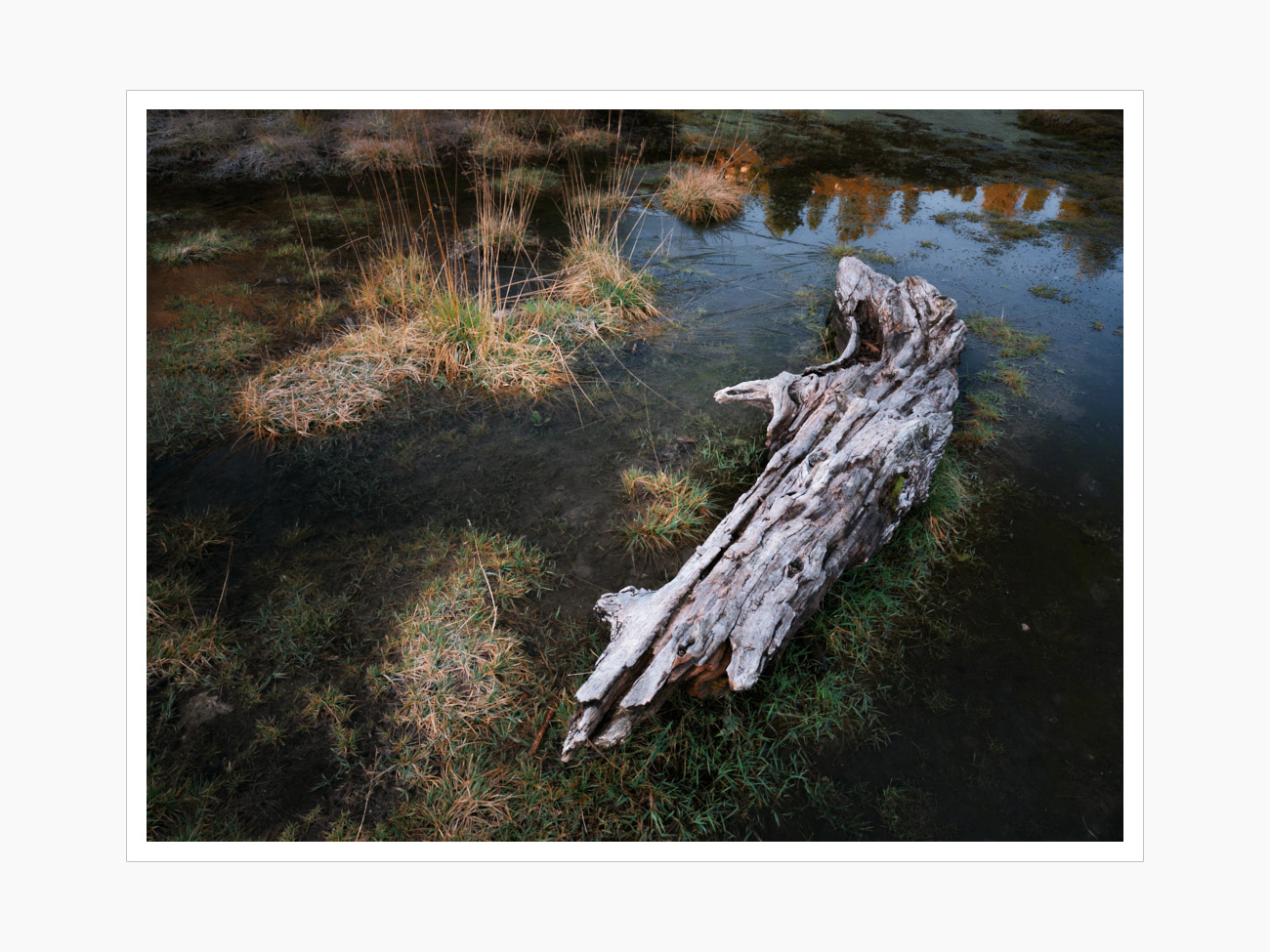 Max Schiefele Alle Bilder  DSF3014